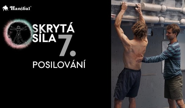 7. Posilování